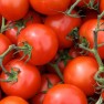 Pomidory chronią przed rakiem